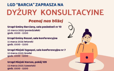 Konsultacje LGD